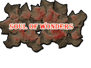 Soul of Wonders (Full version)
